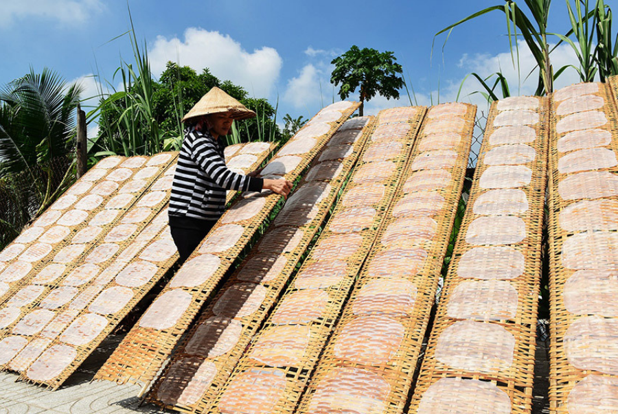 Sunlit rows of rice paper drying on bamboo trays.
