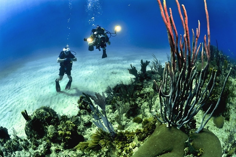 Diver exploring coral reefs