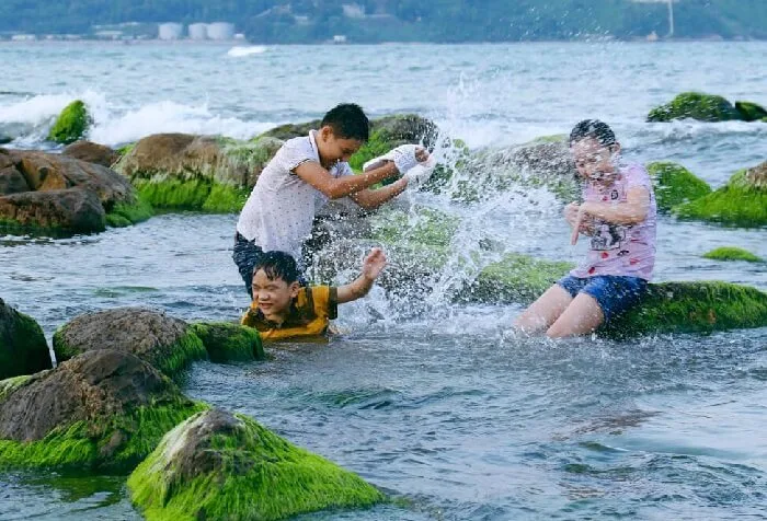 Golden sunset over mossy stones — peaceful and romantic.