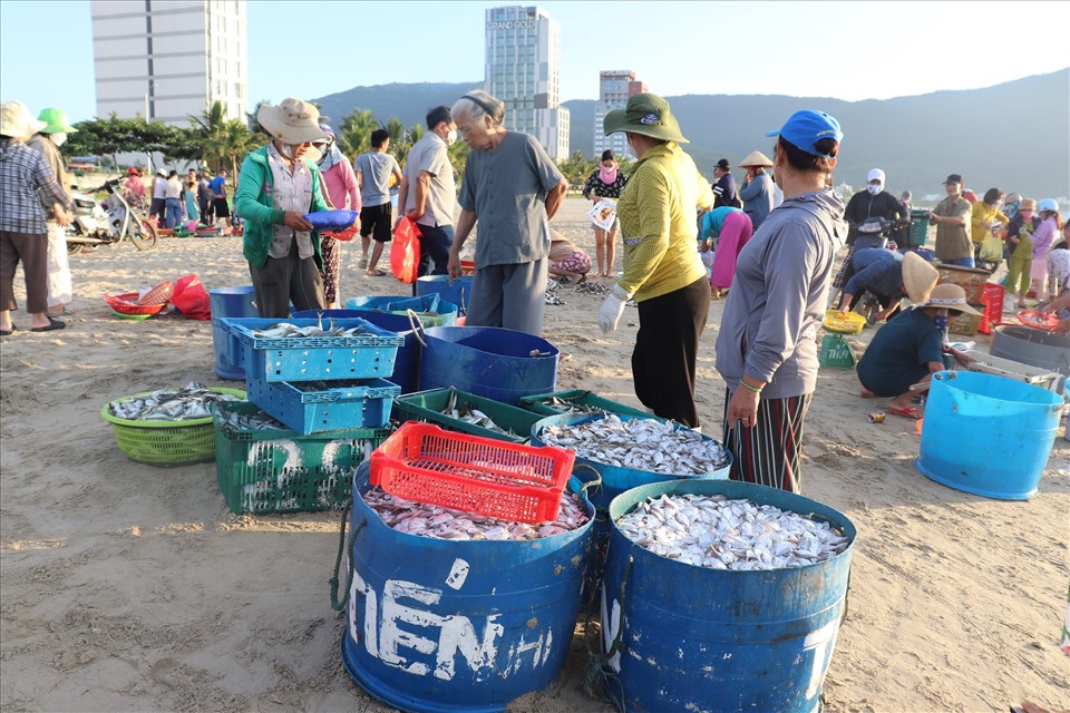 Fish market Thanh Nam village Da Nang