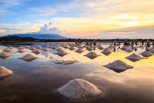 Close-up of salt crystals reflecting sunlight.