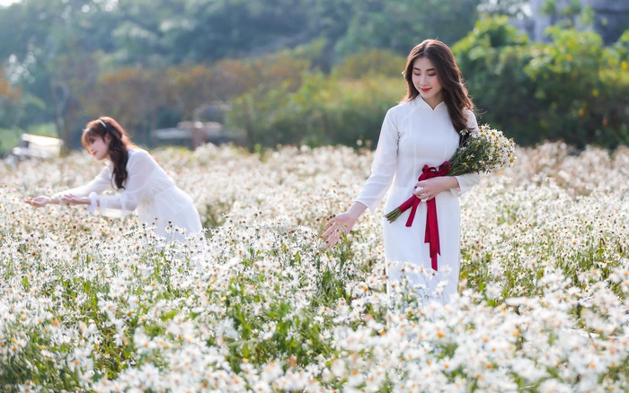 White ao dai among yellow sunflowers.