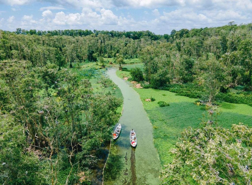 Wide-angle shot of Tra Ly Mangrove Forest from water level