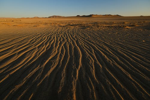 Wide view of desert dunes with silhouettes